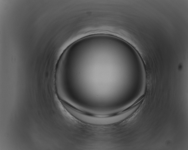 X0000093531534200710191343