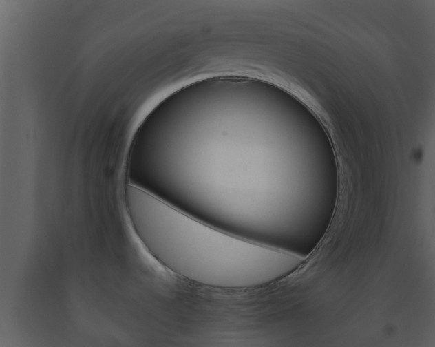 X0000093531536200710191343