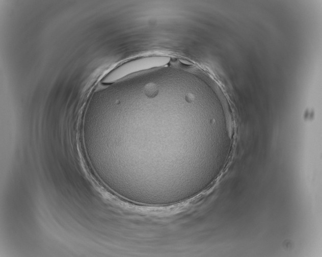 X0000093530001200710261302