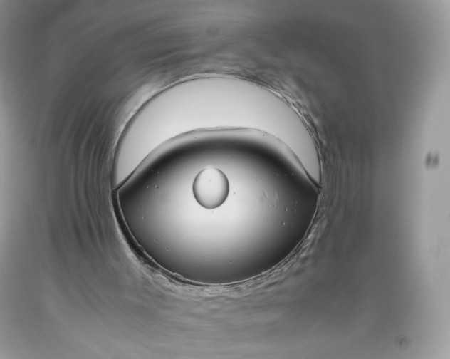 X0000093530003200710261302