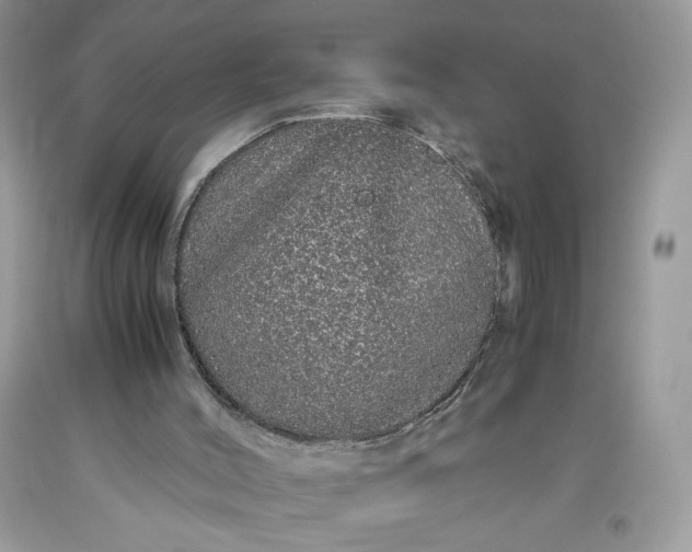 X0000093530004200710261302