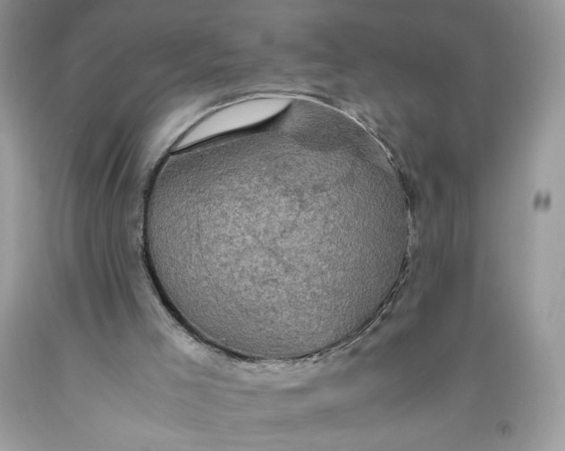 X0000093530005200710261302