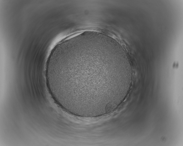 X0000093530006200710261302