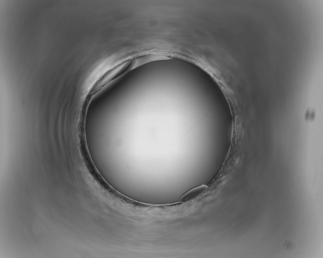 X0000093530007200710261302