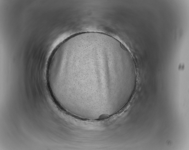 X0000093530008200710261302