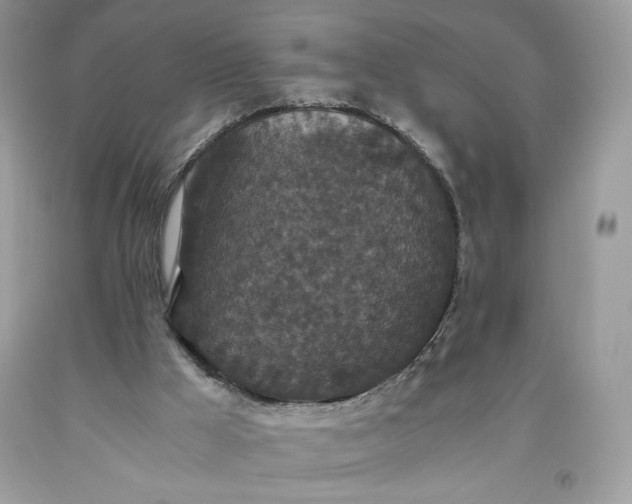 X0000093530009200710261302