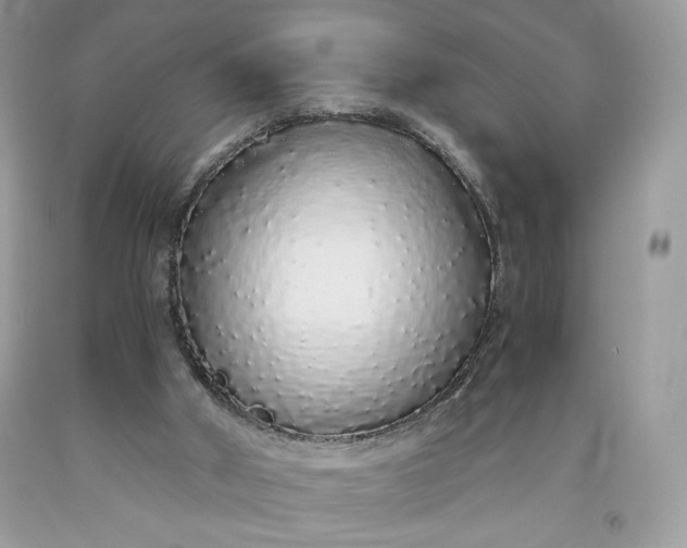 X0000093530010200710261302