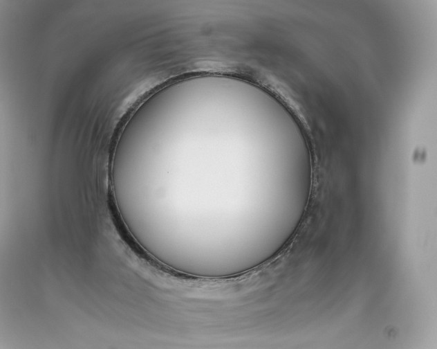 X0000093530011200710261302