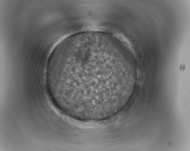 X0000093530012200710261302