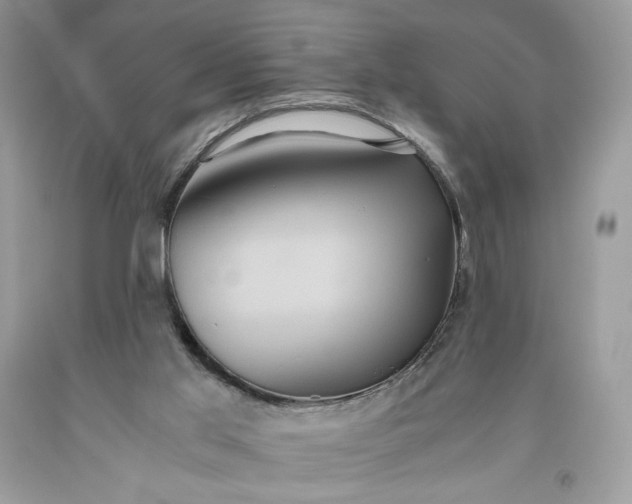 X0000093530013200710261302