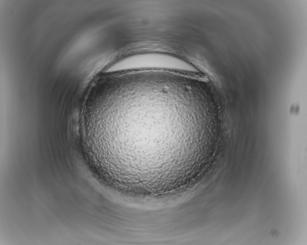 X0000093530014200710261302