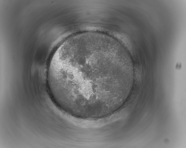 X0000093530016200710261302