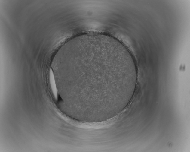 X0000093530017200710261302