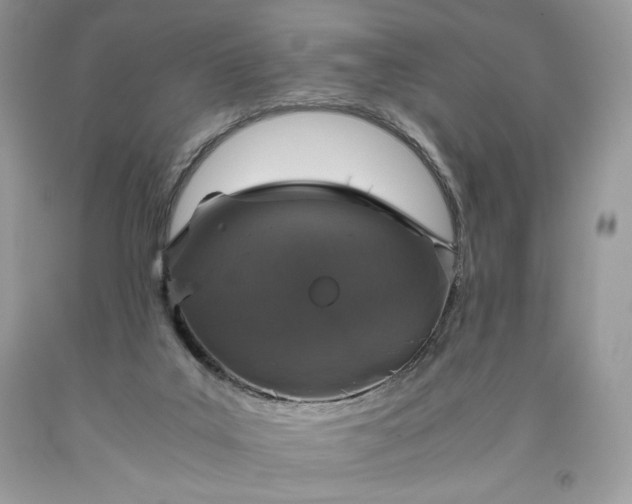 X0000093530019200710261301