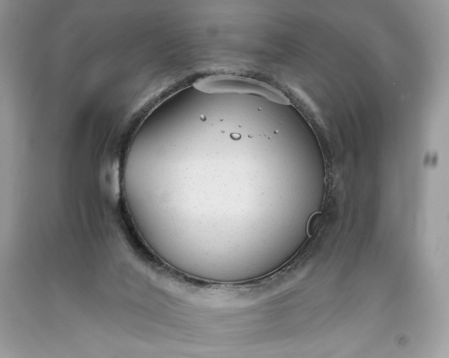 X0000093530020200710261301