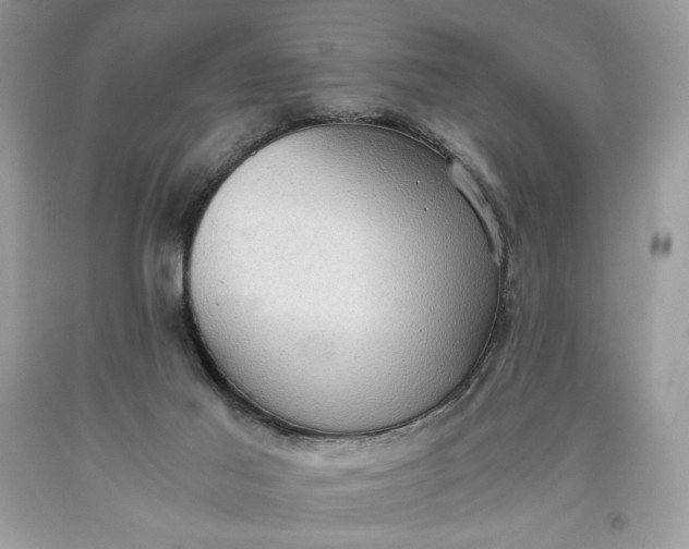 X0000093530021200710261301