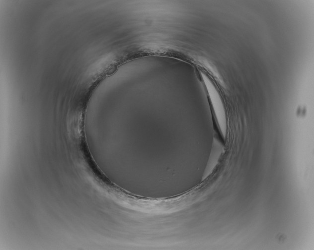 X0000093530023200710261301