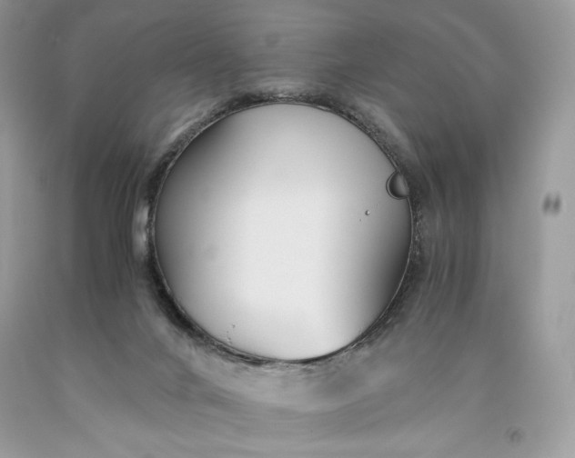 X0000093530024200710261301