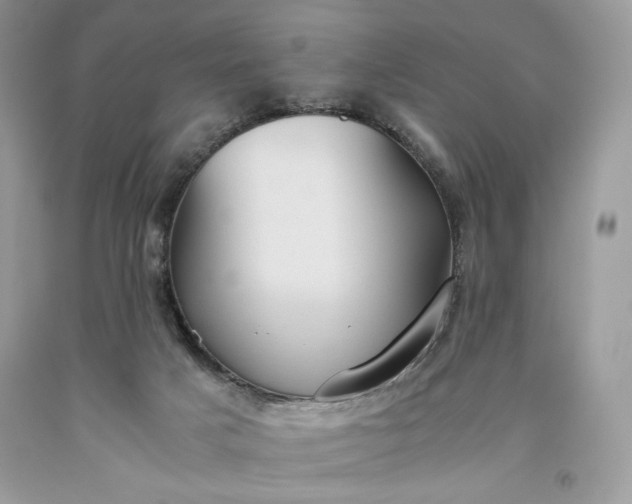 X0000093530025200710261301