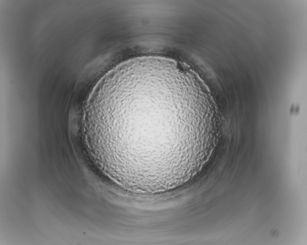 X0000093530026200710261301