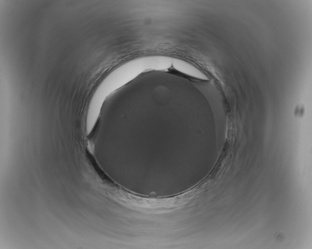 X0000093530027200710261301