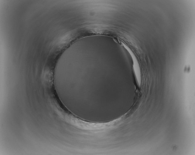 X0000093530031200710261301