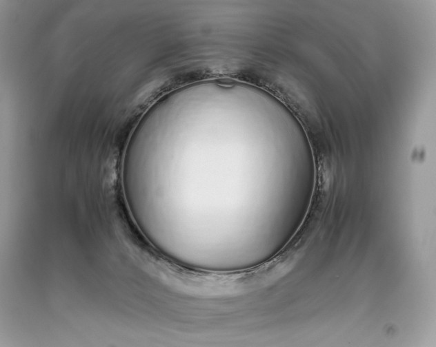 X0000093530032200710261301