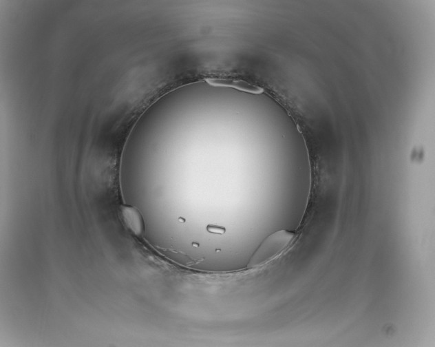 X0000093530033200710261301