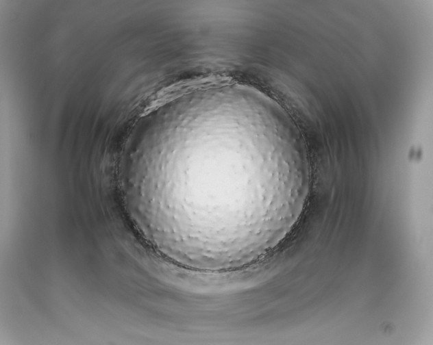 X0000093530034200710261301