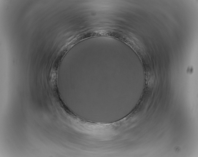 X0000093530036200710261301