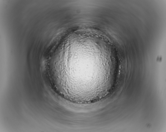 X0000093530038200710261301