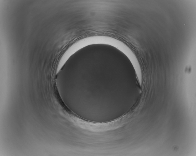 X0000093530039200710261301