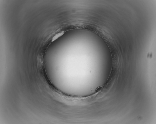 X0000093530040200710261301