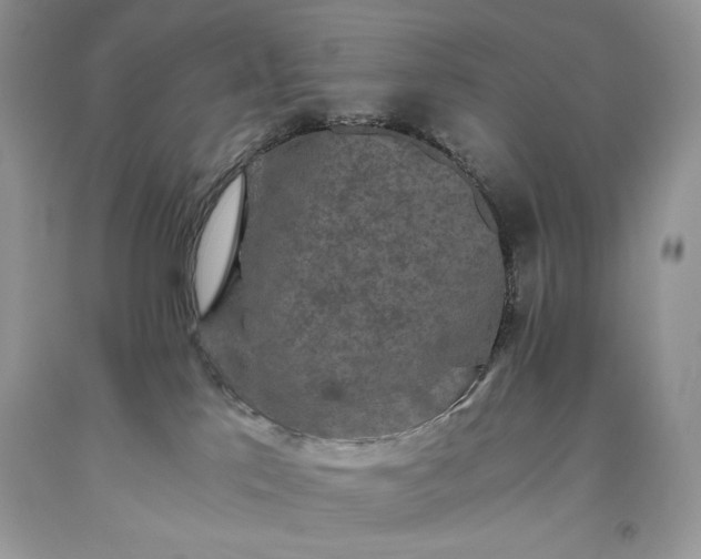 X0000093530041200710261301