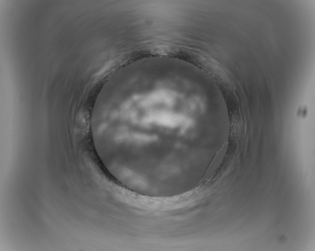 X0000093530043200710261301