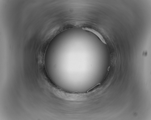 X0000093530044200710261301