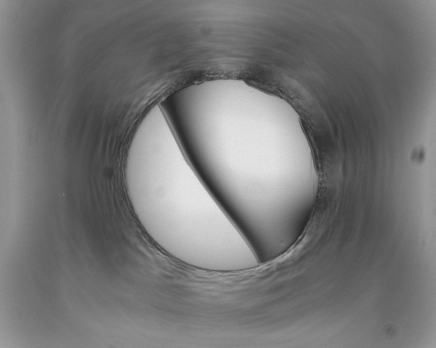 X0000093530045200710261301