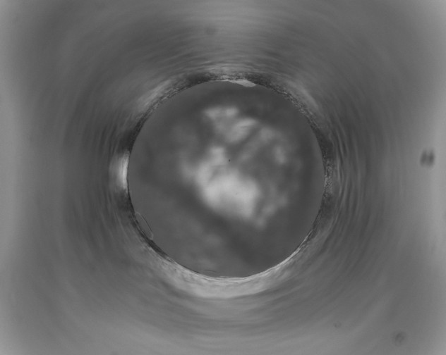 X0000093530047200710261301