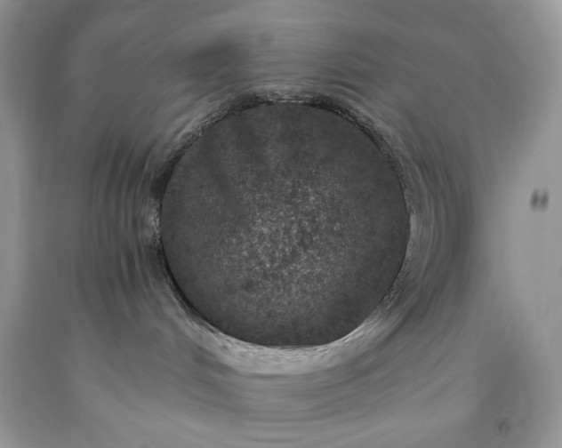 X0000093530048200710261301