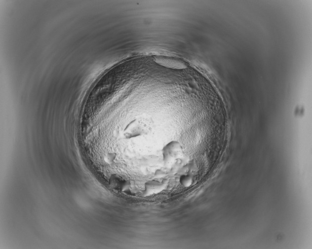 X0000093530049200710261300