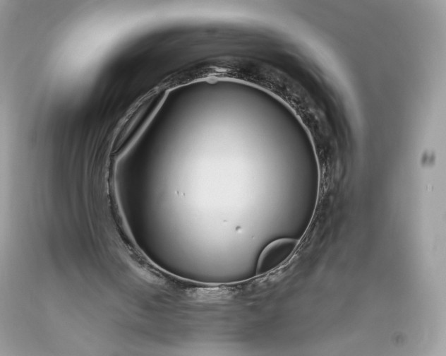 X0000093530050200710261300