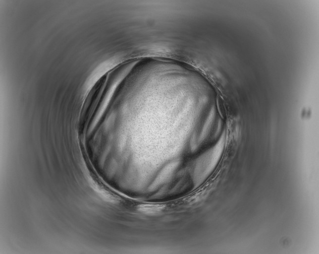 X0000093530051200710261300