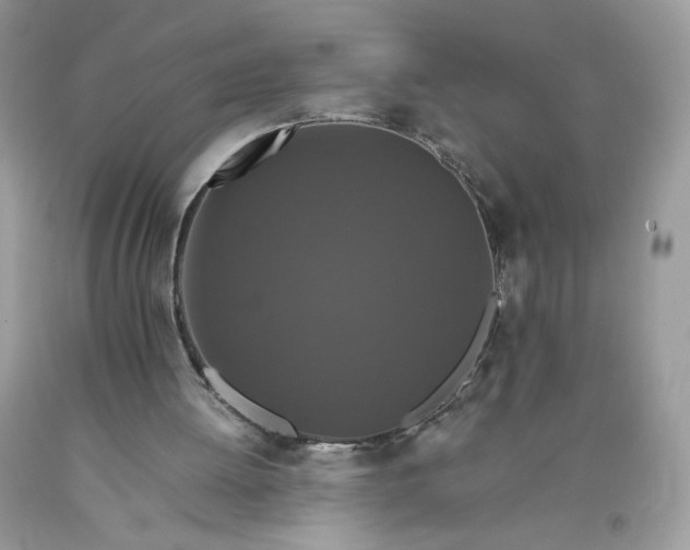 X0000093530052200710261300