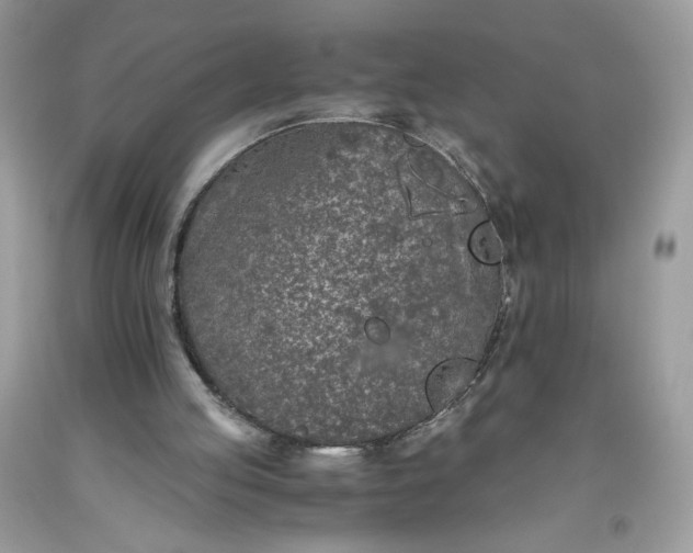 X0000093530053200710261300