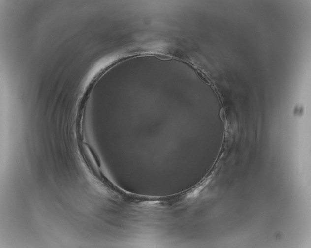 X0000093530054200710261300