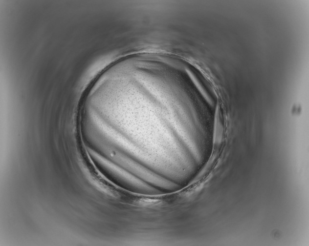 X0000093530055200710261300