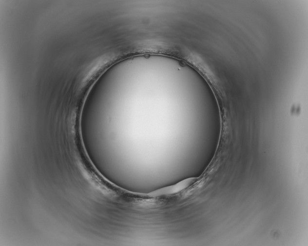 X0000093530058200710261301