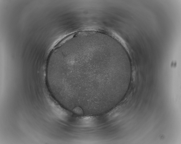 X0000093530059200710261301