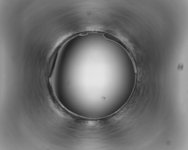 X0000093530060200710261301