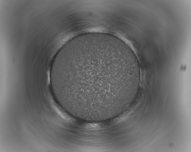 X0000093530061200710261301